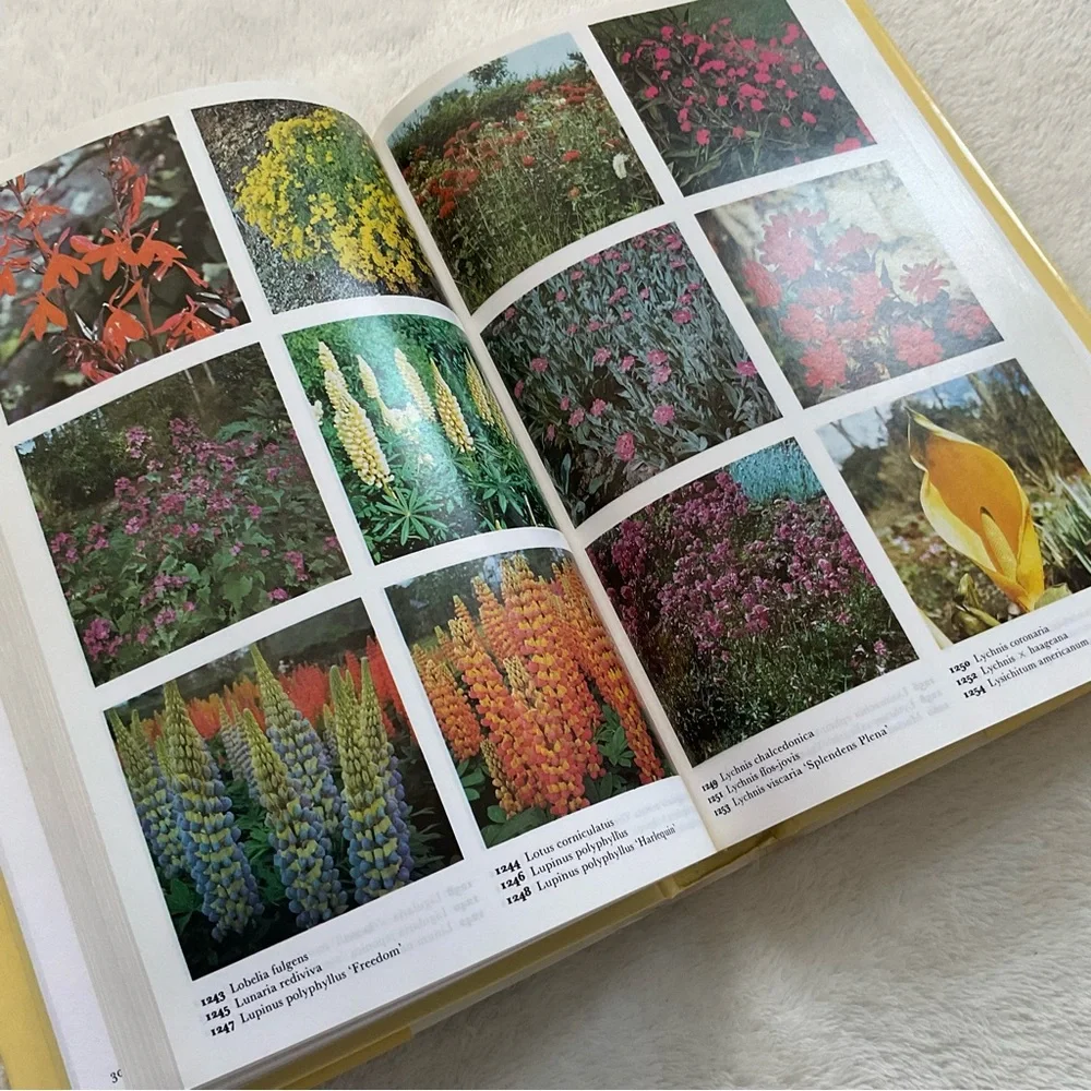 Vintage beautiful comprehensive